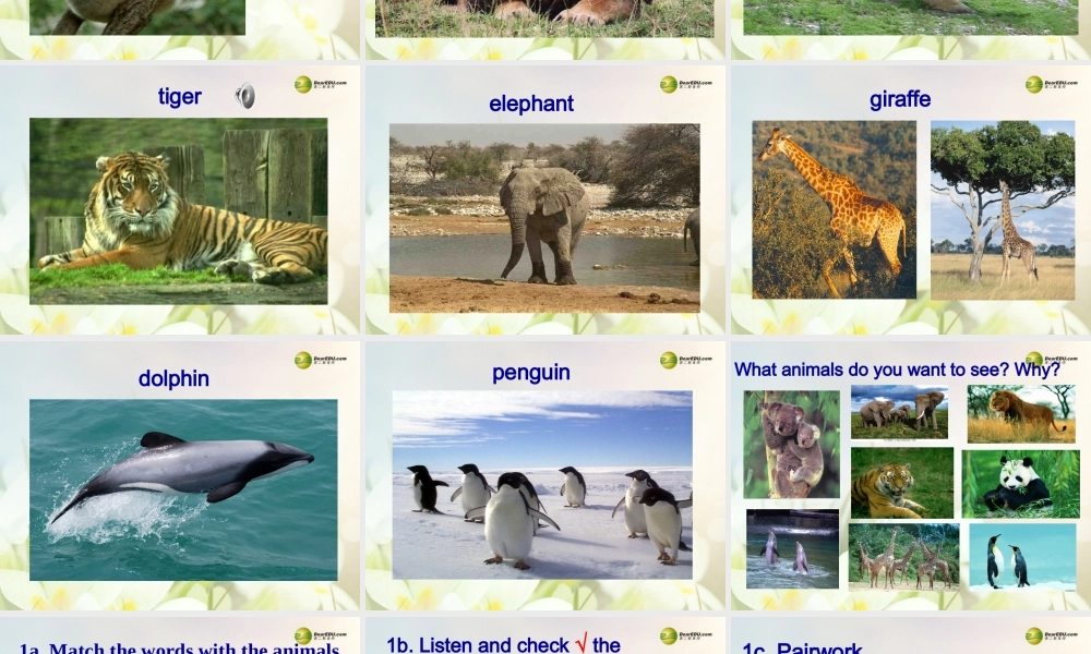 【名师精品】2 unit 5 Why do you like pandas？Section A课件.ppt