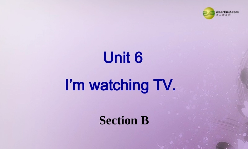 【名师精品】2 unit 6 I'm watching TV SectionB课件.ppt