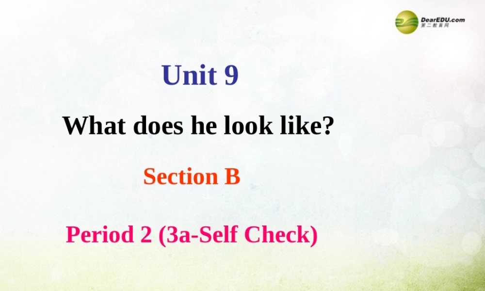 【名师精品】2 unit 9 What does he look like Section B(3a-selfcheck)课件.ppt