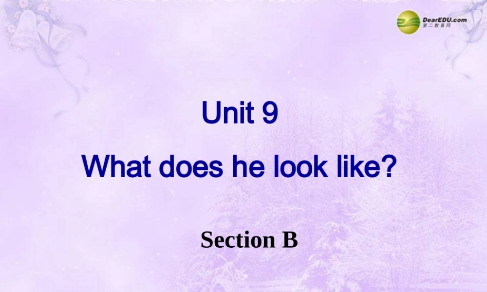【名师精品】2 unit 9 What does he look like Section B课件.ppt