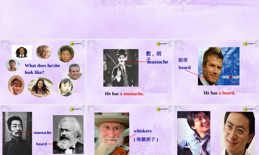 【名师精品】2 unit 9 What does he look like Section B课件.ppt