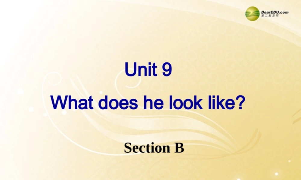 【名师精品】2 unit 9 What does helook like SectionB课件.ppt