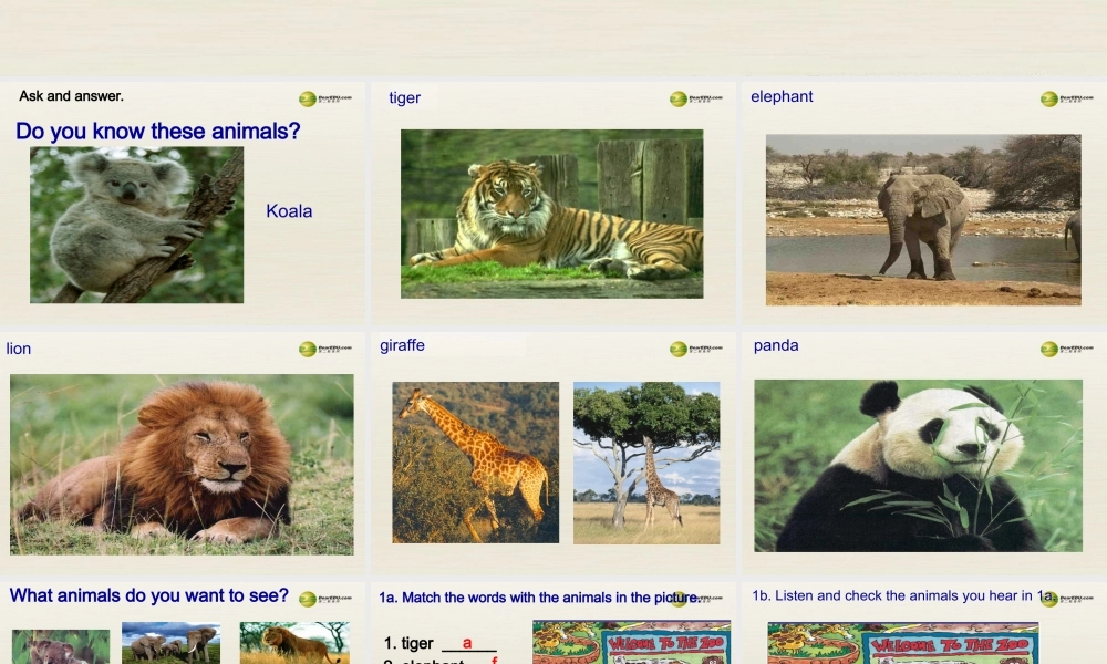 【名师精品】3 unit 5 Why do you like pandas（第一课时）课件.ppt