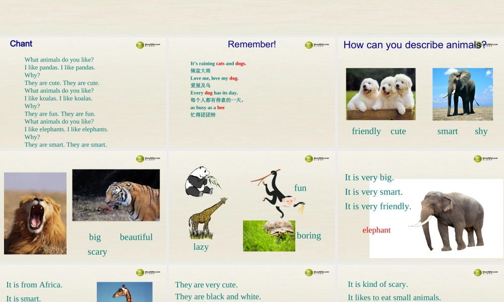 【名师精品】3 unit 5 Why do you like pandas（第三课时）课件.ppt