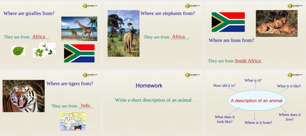 【名师精品】3 unit 5 Why do you like pandas（第三课时）课件.ppt