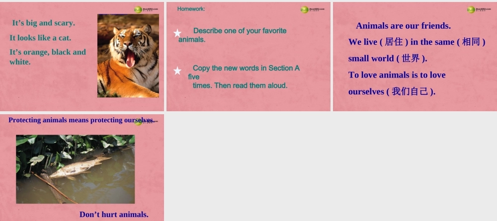 【名师精品】3 unit 5 Why do you like pandas（第二课时）课件.ppt