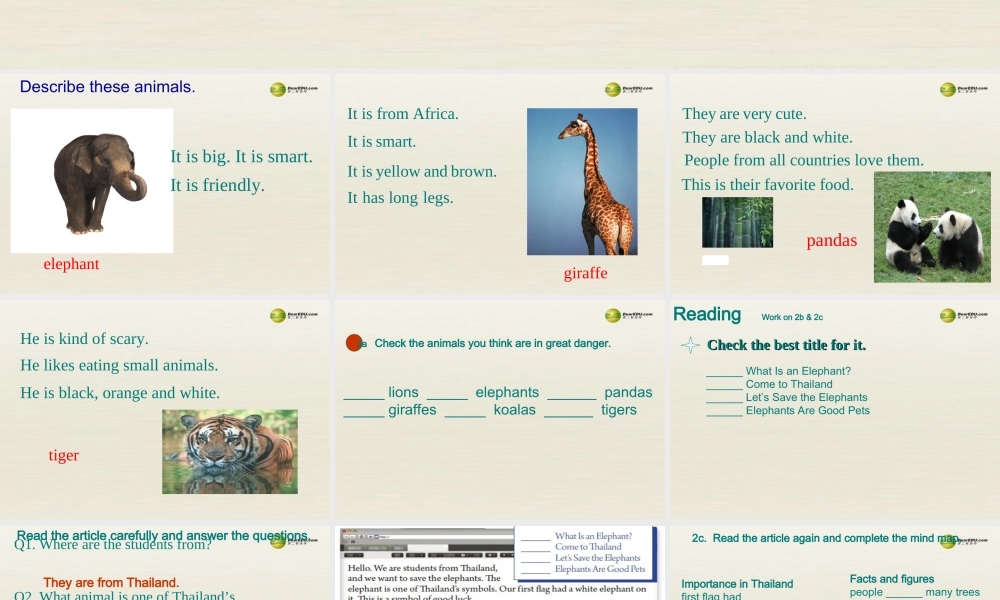 【名师精品】3 unit 5 Why do you like pandas（第四课时）课件.ppt