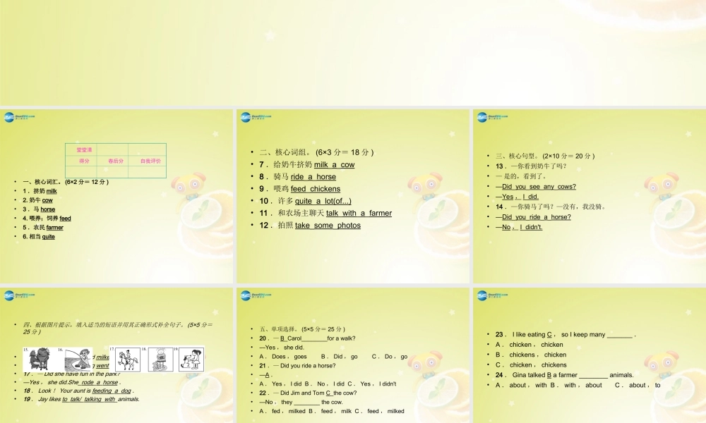 【名师精品】4 Unit 11 How was your school trip Section A 1a－1c（预习导航+堂堂清+日日清）课件.ppt