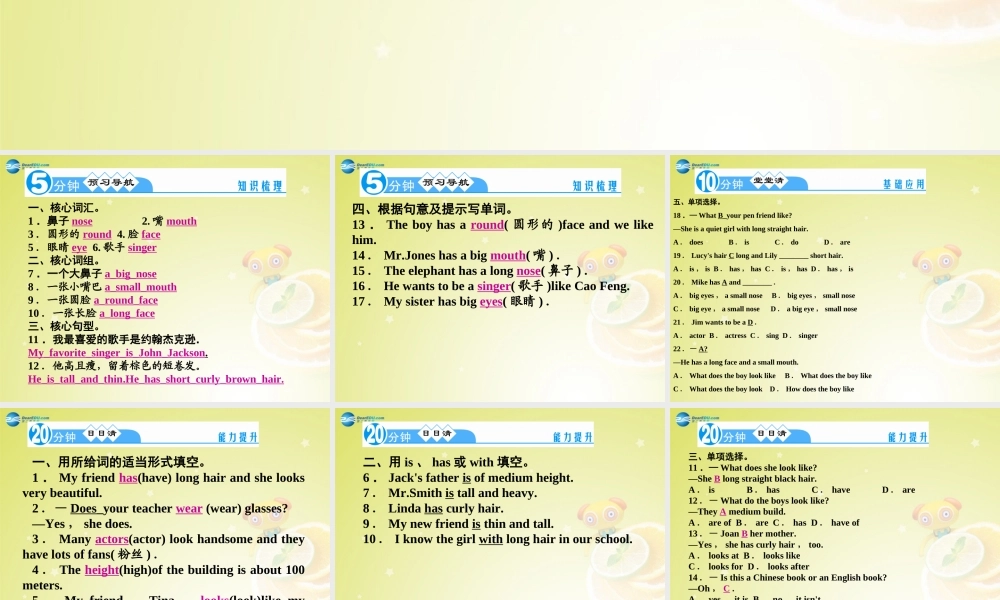 【名师精品】4 Unit 9 What does he look like Grammar Focus－3d（预习导航+堂堂清+日日清）课件.ppt