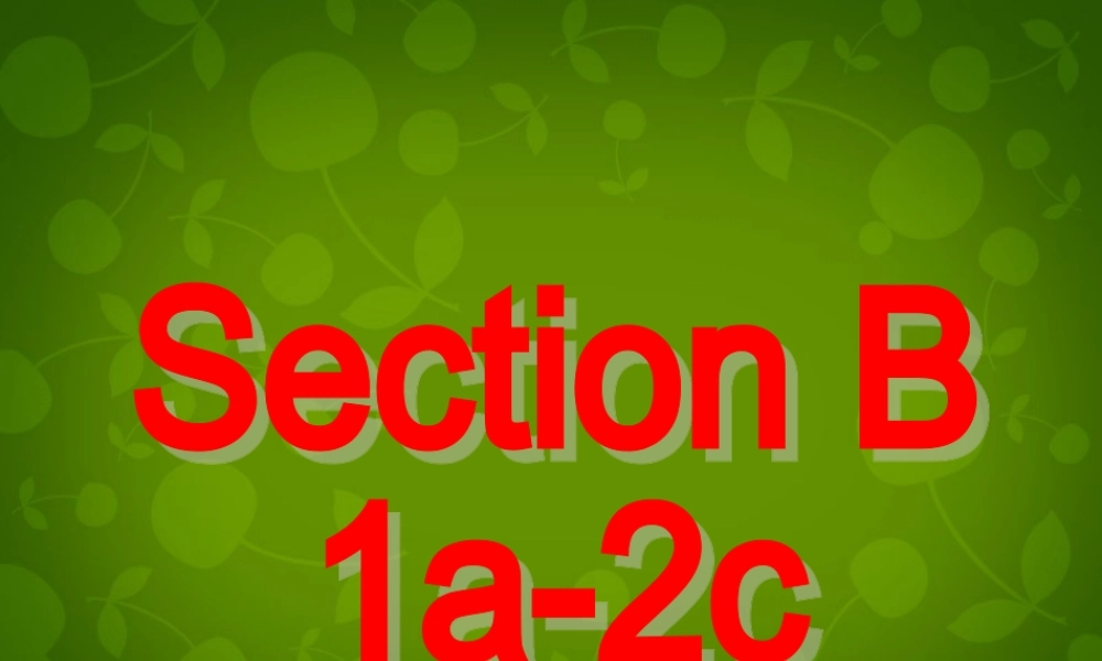 【名师精品】6 Unit 12 What did you do last weekend Section B课件.ppt