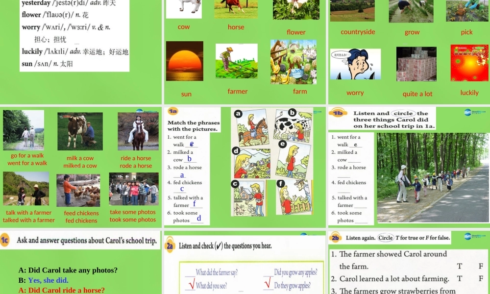 【名师精品】6 Unit 11 How was your school trip Section A课件.ppt