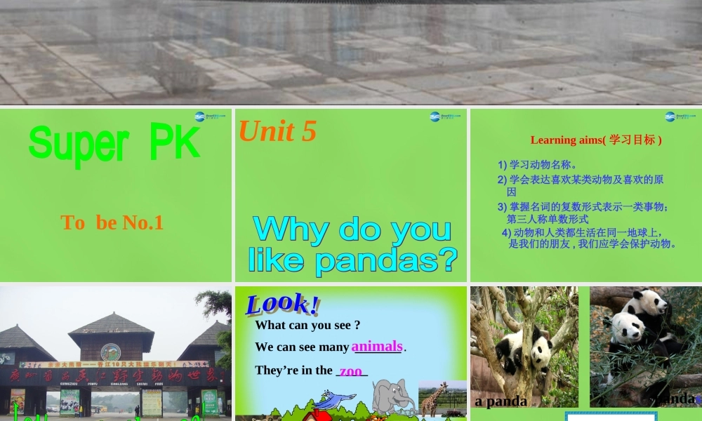 【名师精品】6 Unit 5 Why do you like pandas课件.ppt