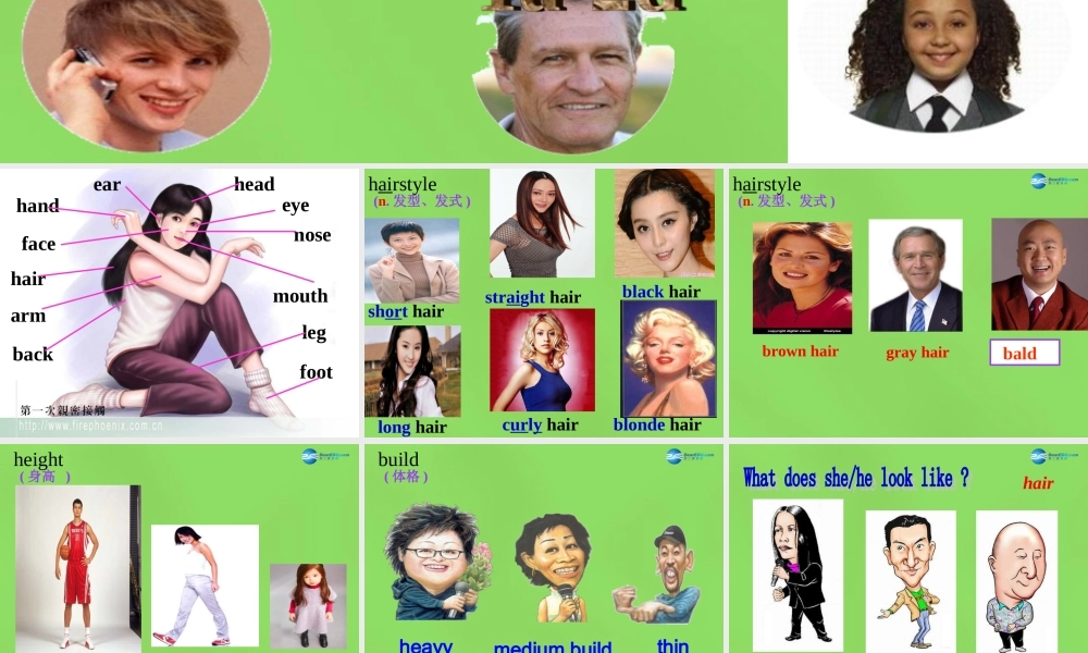 【名师精品】6 Unit 9 What does he look like Period 1课件.ppt