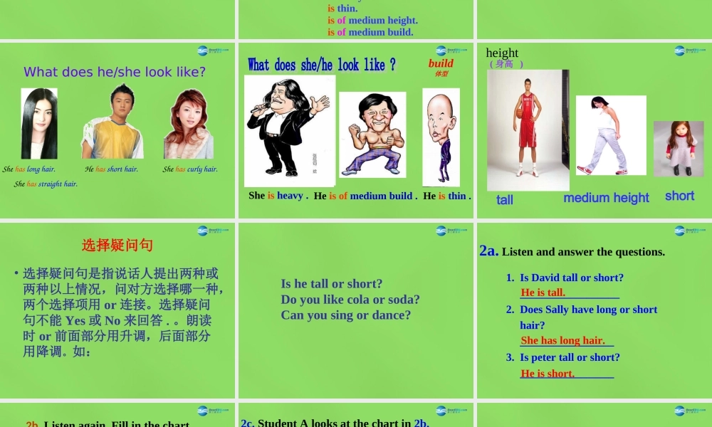 【名师精品】6 Unit 9 What does he look like Period 2课件.ppt