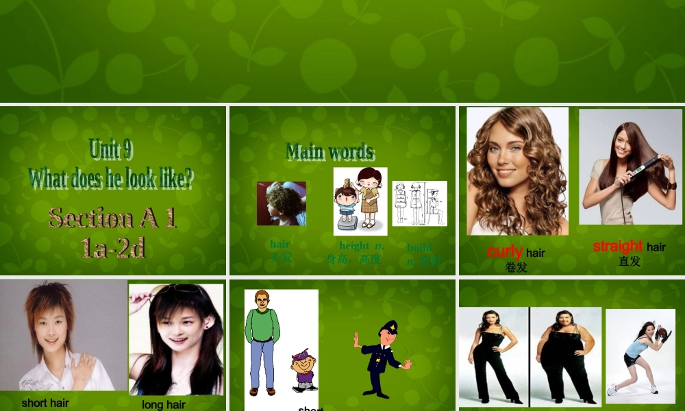 【名师精品】6 Unit 9 What does he look like Section A课件.ppt