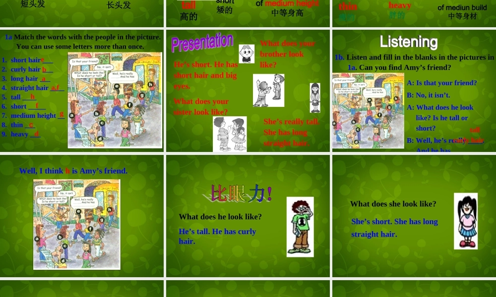 【名师精品】6 Unit 9 What does he look like Section A课件.ppt