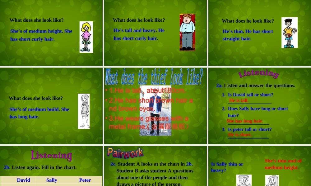 【名师精品】6 Unit 9 What does he look like Section A课件.ppt