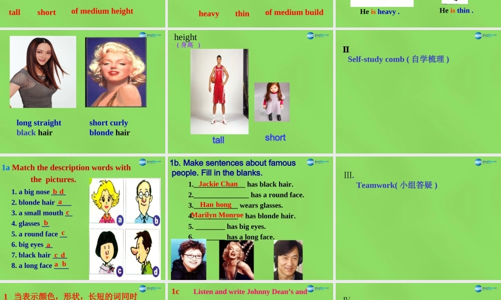 【名师精品】6 Unit 9 What does he look like Period 4课件.ppt