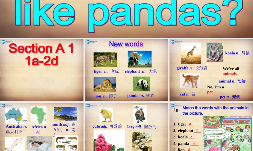 【名师精品】7Unit 5 Why do you like pandas Section A课件1.ppt