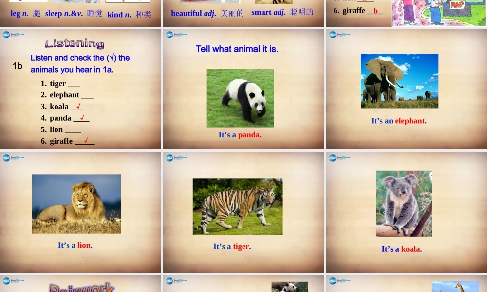 【名师精品】7Unit 5 Why do you like pandas Section A课件1.ppt