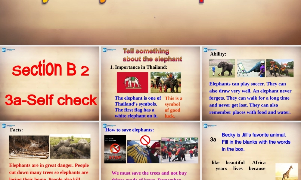 【名师精品】7Unit 5 Why do you like pandas Section B课件2.ppt