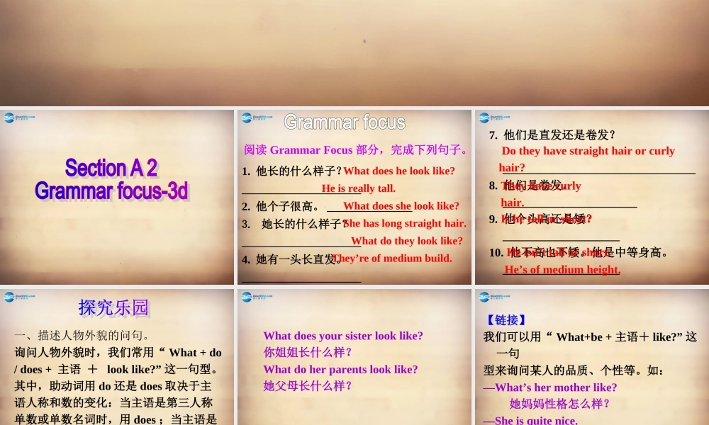 【名师精品】7Unit 9 What does he look like Section A课件2.ppt