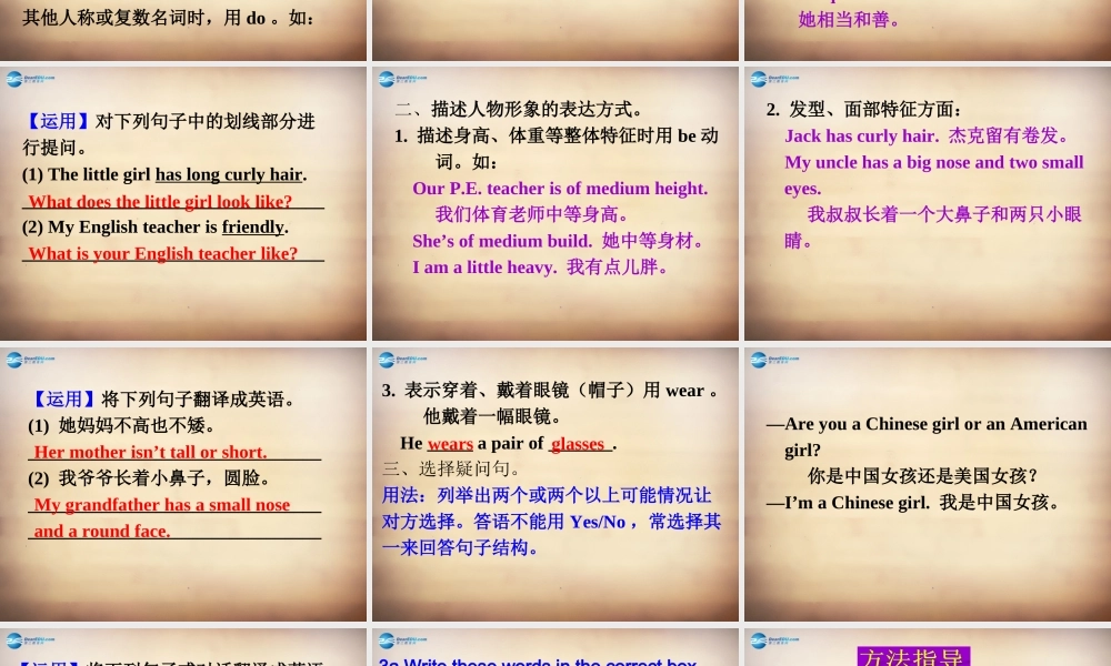 【名师精品】7Unit 9 What does he look like Section A课件2.ppt