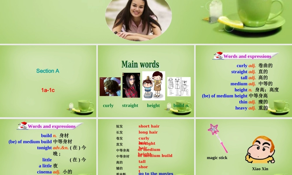 【名师精品】7 《Unit 9 What does he look like Section A》课件.ppt