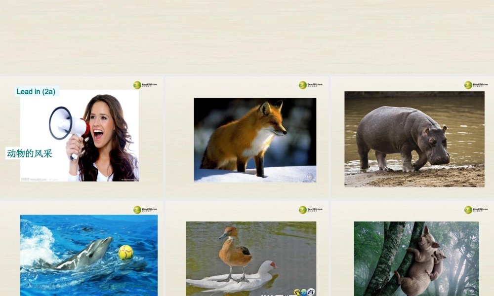 【名校精品】 2Unit 5 Why do you like pandasPeriod课件4.ppt