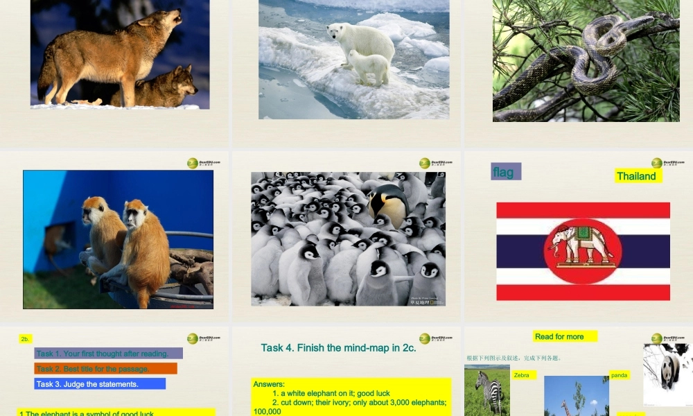 【名校精品】 2Unit 5 Why do you like pandasPeriod课件4.ppt