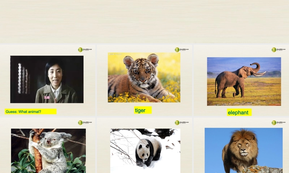 【名校精品】 2Unit 5 Why do you like pandasPeriod课件1.ppt