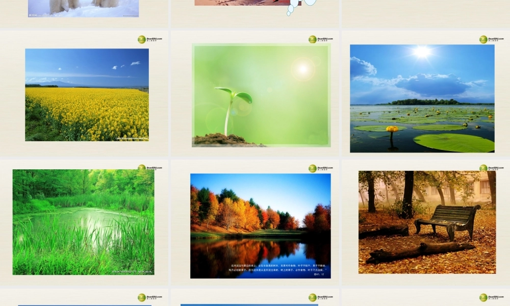 【名校精品】 2Unit 7 It's raining!Period课件3.ppt