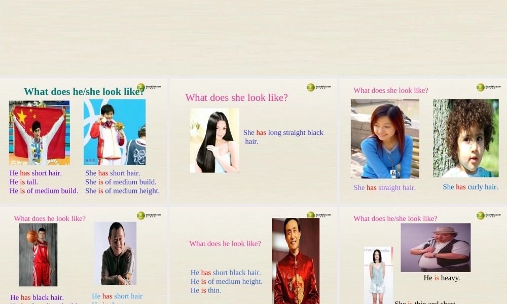 【名校精品】 2Unit 9 What does he look likePeriod课件1.ppt