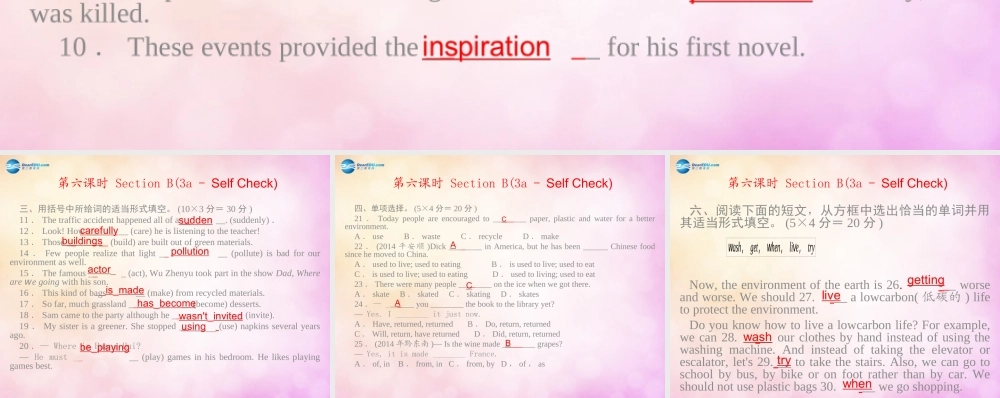 【四清导航】九年级英语全册 Unit 13 We are trying to save the earth第六课时课件.ppt