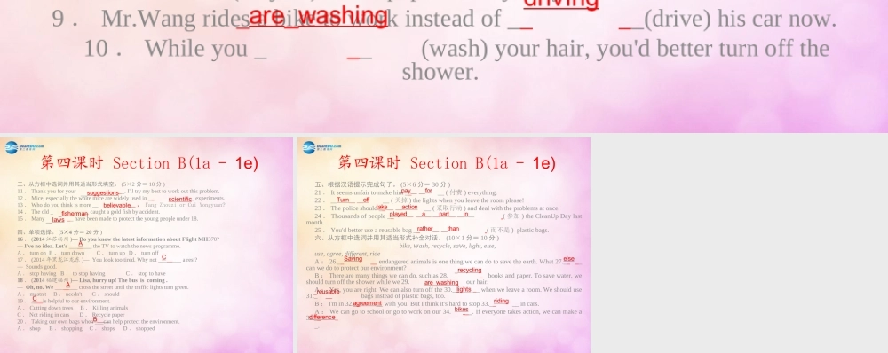 【四清导航】九年级英语全册 Unit 13 We are trying to save the earth第四课时课件.ppt