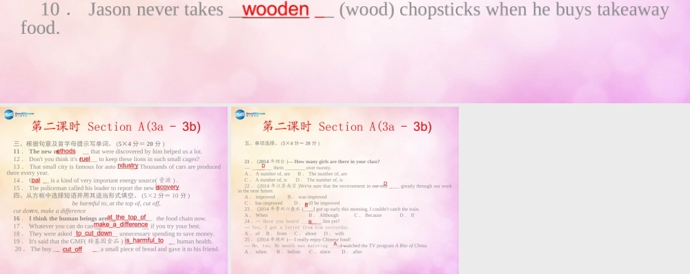 【四清导航】九年级英语全册 Unit 13 We are trying to save the earth第二课时课件.ppt