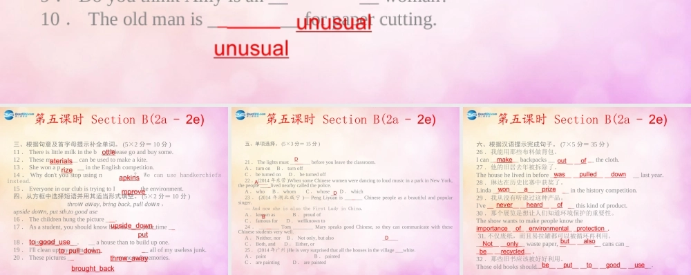 【四清导航】九年级英语全册 Unit 13 We are trying to save the earth第五课时课件.ppt