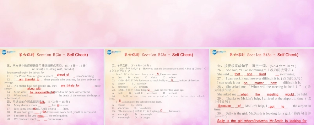 【四清导航】九年级英语全册 Unit 14 I remember meeting all of you in Grade第六课时课件.ppt