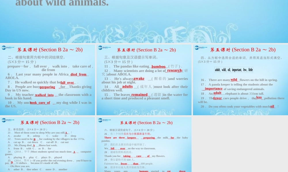 【四清导航】八年级英语下册 Unit 7 What’s the highest mountain in the world第五课时课件 .ppt