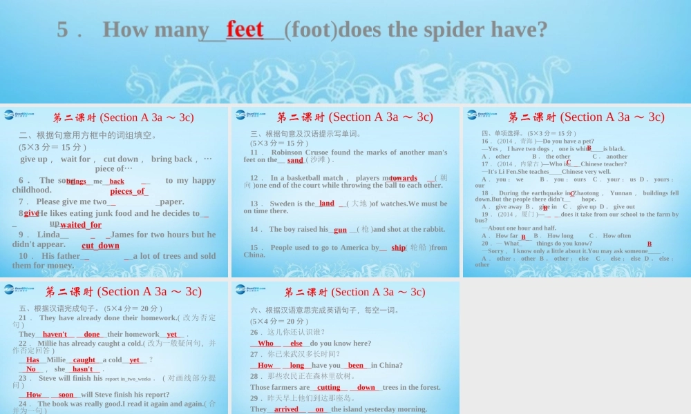 【四清导航】八年级英语下册 Unit 8 Have you read Treasure Island yet第二课时课件 .ppt