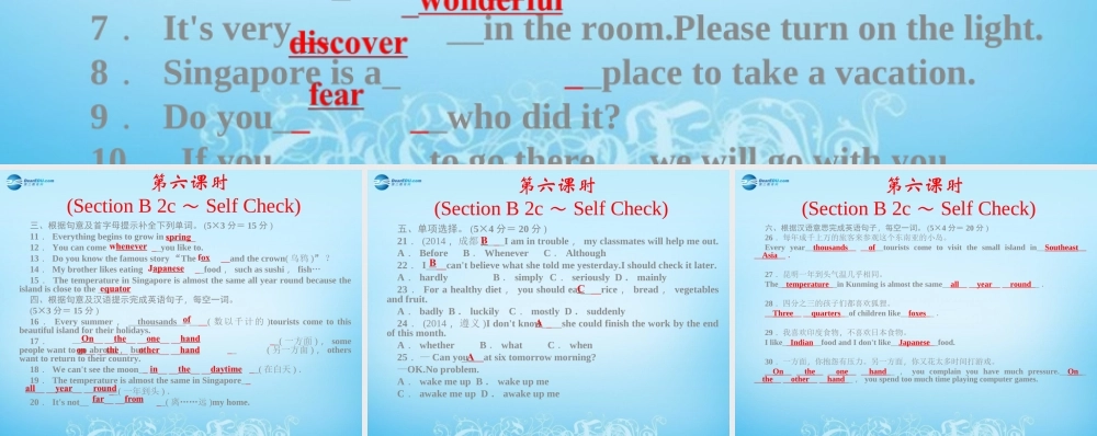 【四清导航】八年级英语下册 Unit 9 Have you ever been to a museum第六课时课件 .ppt