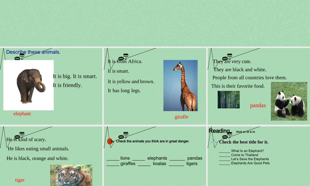 【江苏省】 《Unit 5 Why do you like pandas edited》课件4.ppt