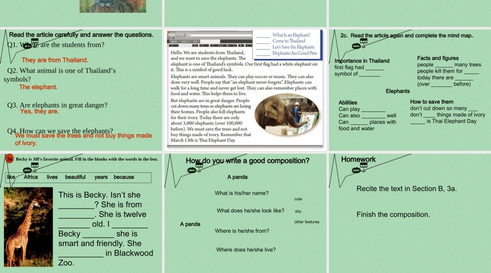 【江苏省】 《Unit 5 Why do you like pandas edited》课件4.ppt