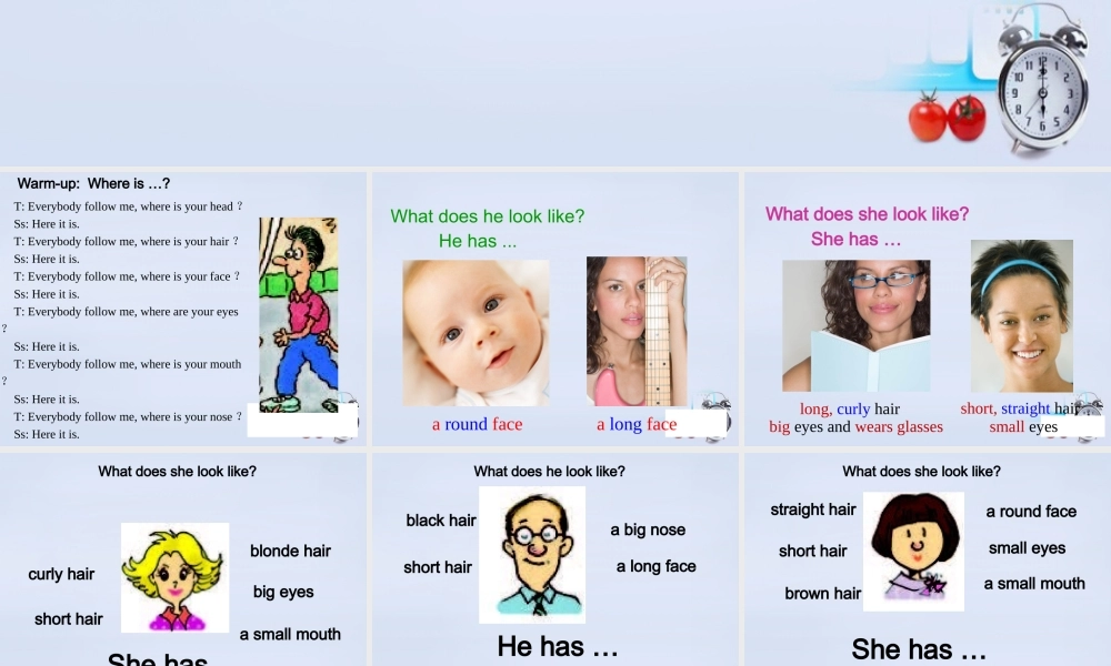 【江苏省】 《Unit 9 What does he look like》课件3.ppt