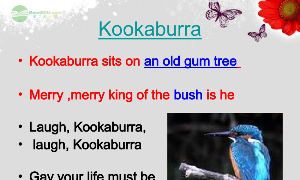 【浙江省】 《Unit 5 Why do you like koalas？lesson 1》课件.ppt