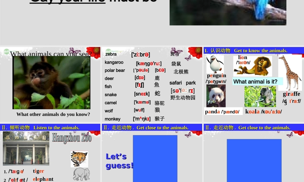 【浙江省】 《Unit 5 Why do you like koalas？lesson 1》课件.ppt