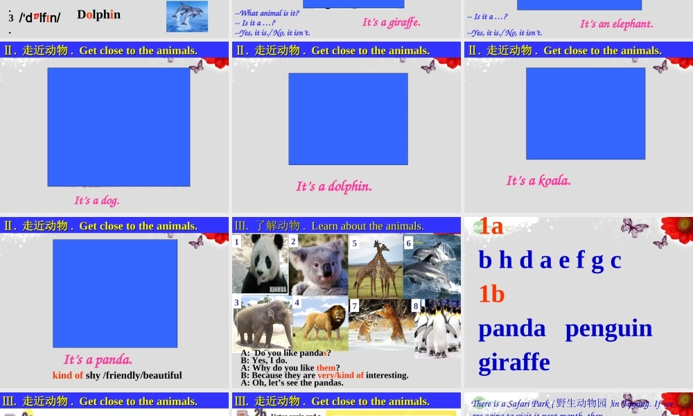 【浙江省】 《Unit 5 Why do you like koalas？lesson 1》课件.ppt