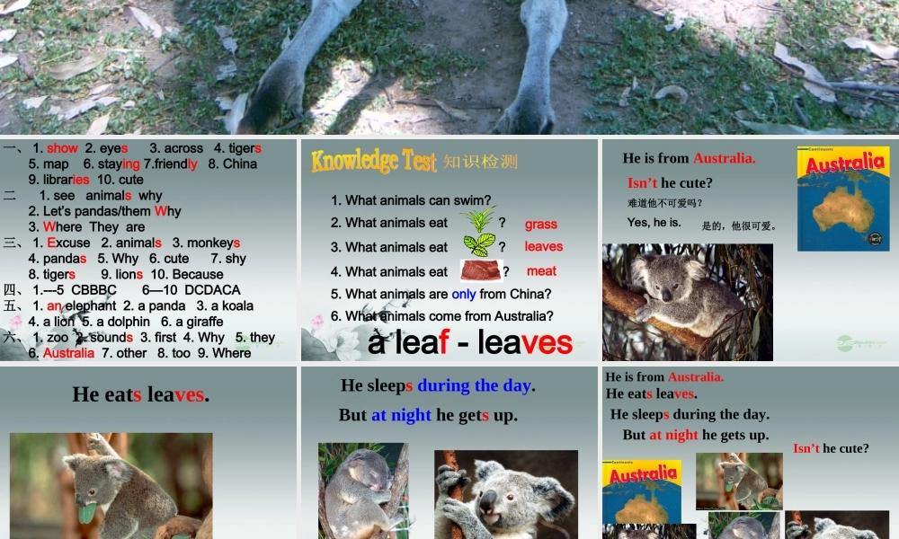 【浙江省】 《Unit 5 Why do you like koalas？Period 3》课件.ppt
