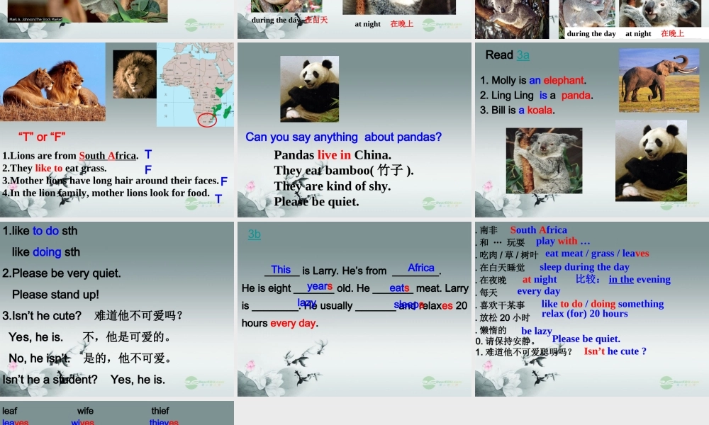 【浙江省】 《Unit 5 Why do you like koalas？Period 3》课件.ppt