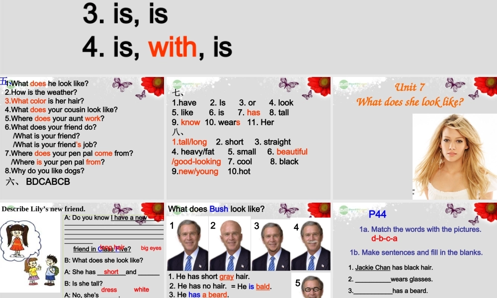 【浙江省】 《Unit 9 What does he look like？Lesson 2》课件.ppt